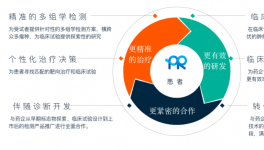 普瑞基准助力打造PARP抑制剂院内检测生态圈